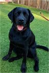 daycare pic 53 - Grace